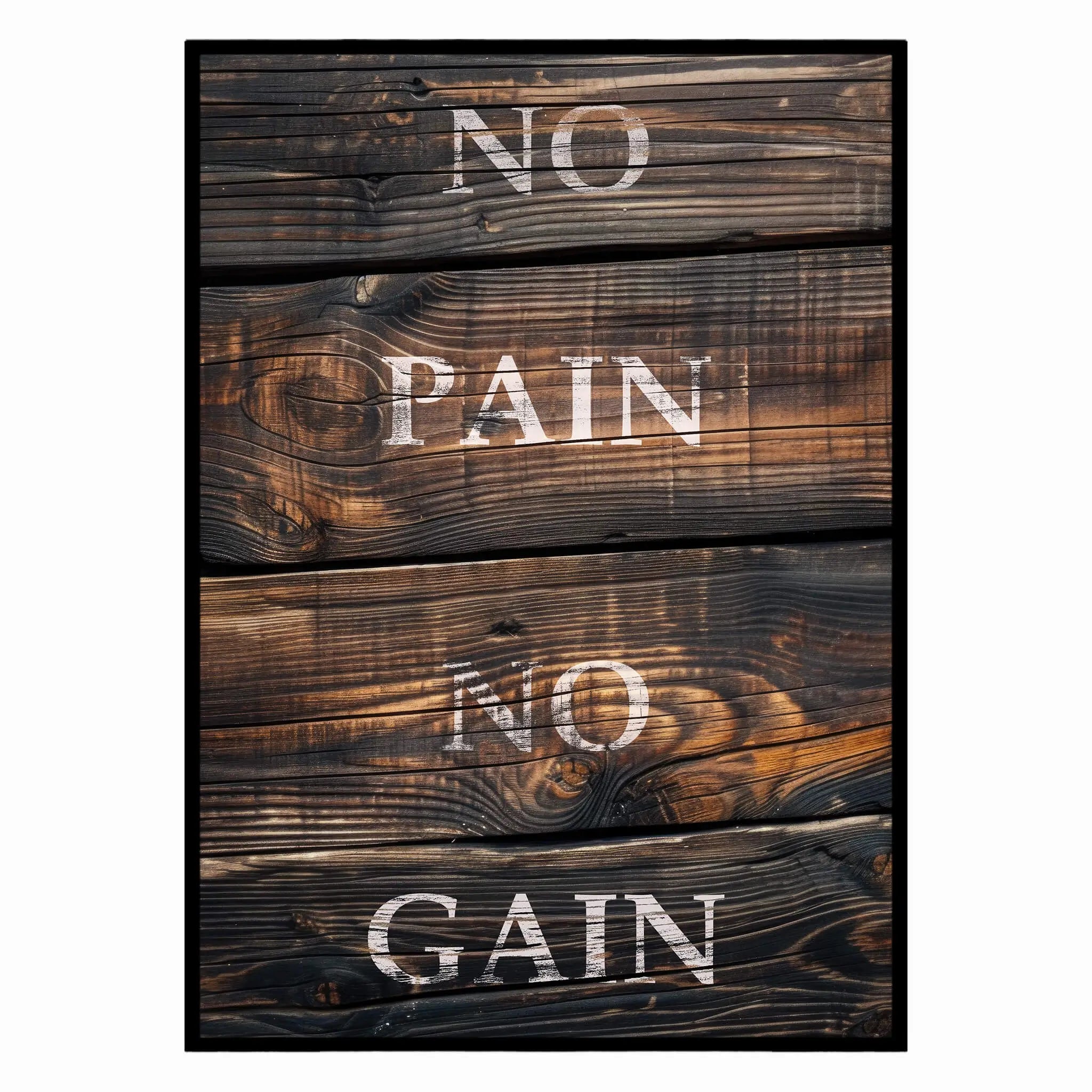 No Pain No Gain Plakat